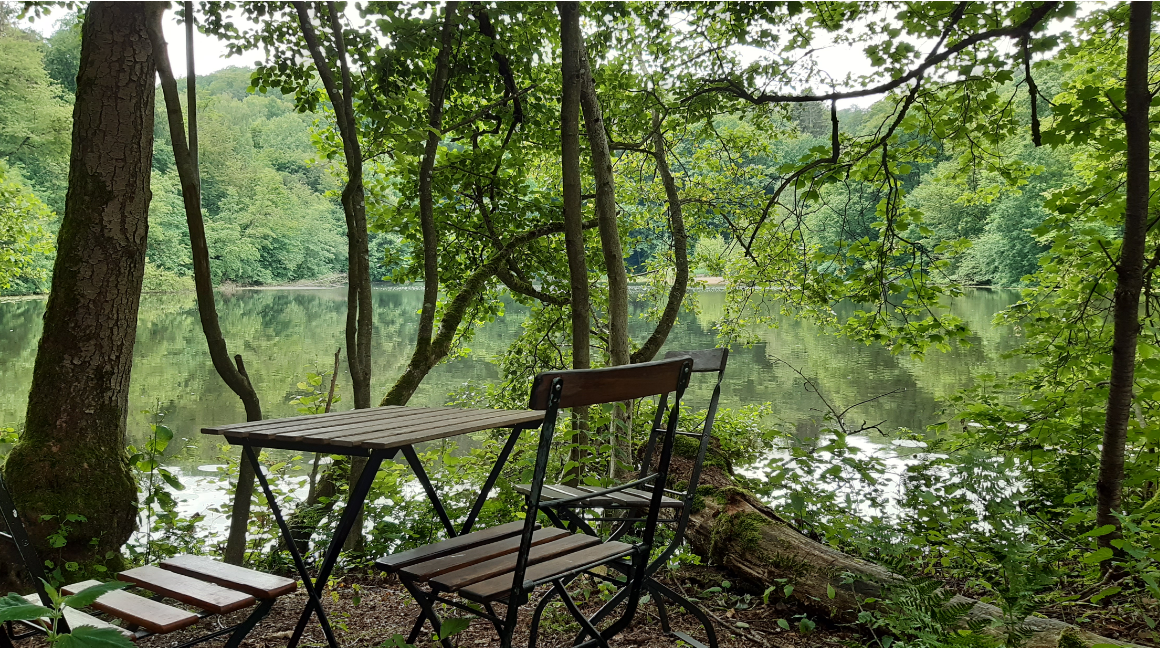 Bergsee Delliehausen 