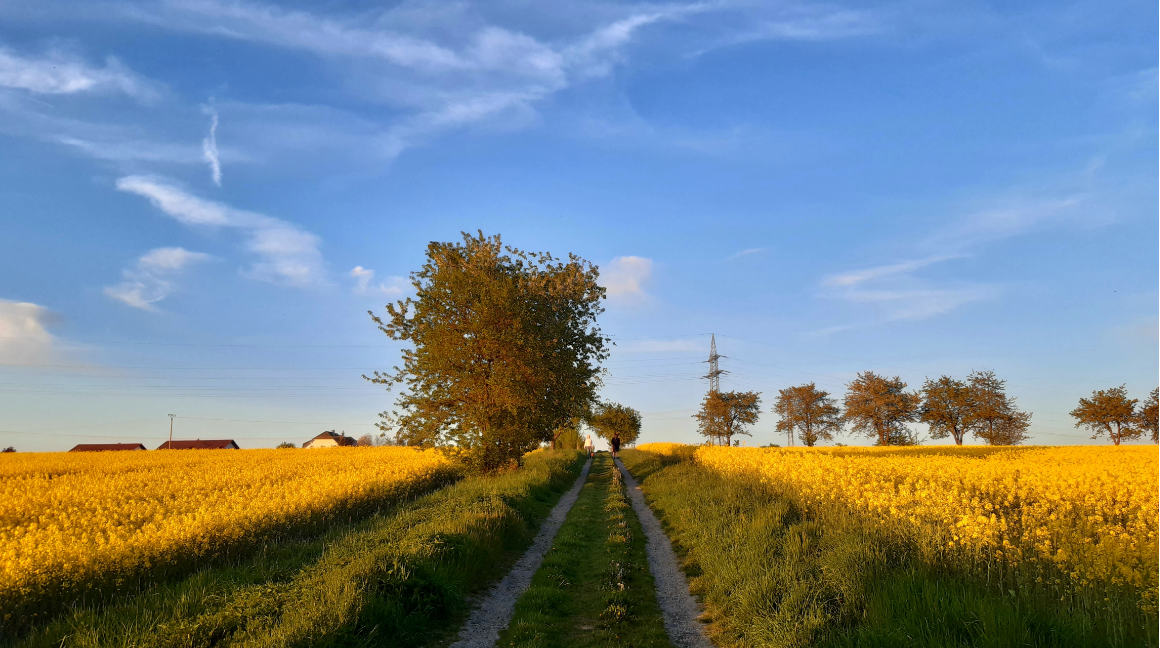 Eichhagen