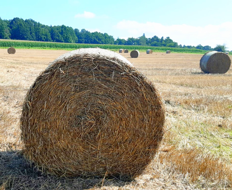 Im Herbst bei Sohlingen
